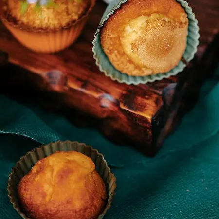 La Solana Montanesa 호텔 3*