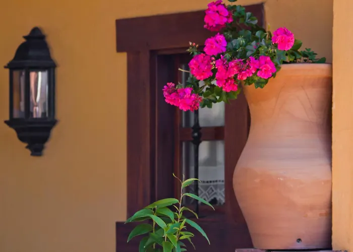 La Solana Montanesa Comillas