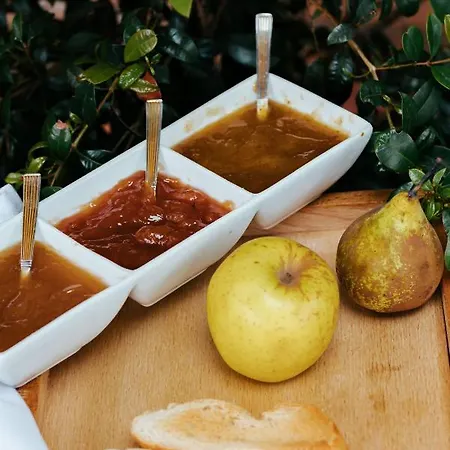 酒店 索兰纳蒙塔涅萨乡村旅馆 3*