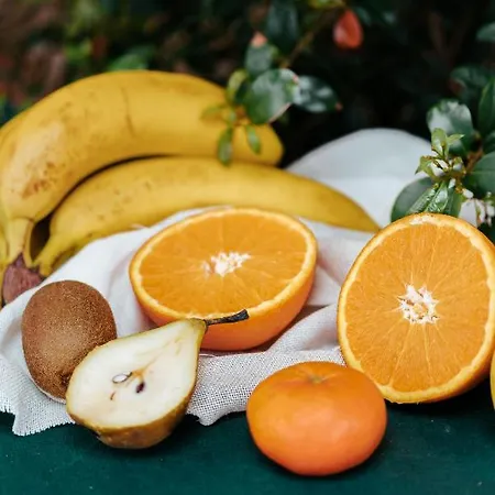 索兰纳蒙塔涅萨乡村旅馆