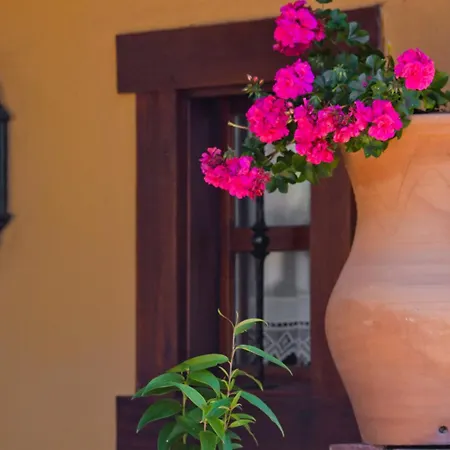 索兰纳蒙塔涅萨乡村旅馆 柯米拉斯