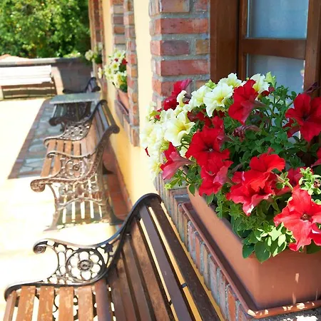 酒店 索兰纳蒙塔涅萨乡村旅馆 3*