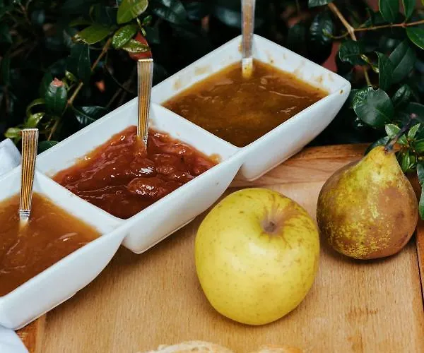 호텔 La Solana Montanesa 3*