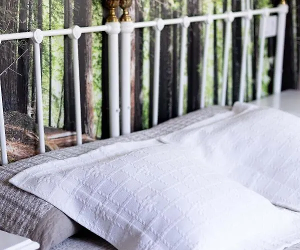 호텔 La Solana Montanesa 3*