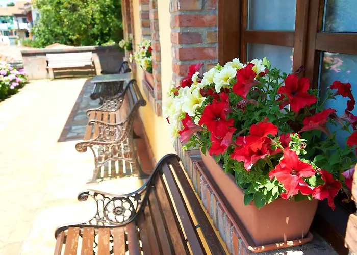 호텔 La Solana Montanesa 3*